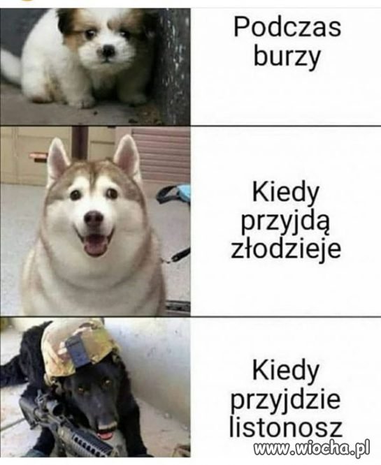 Mój przyjaciel. 