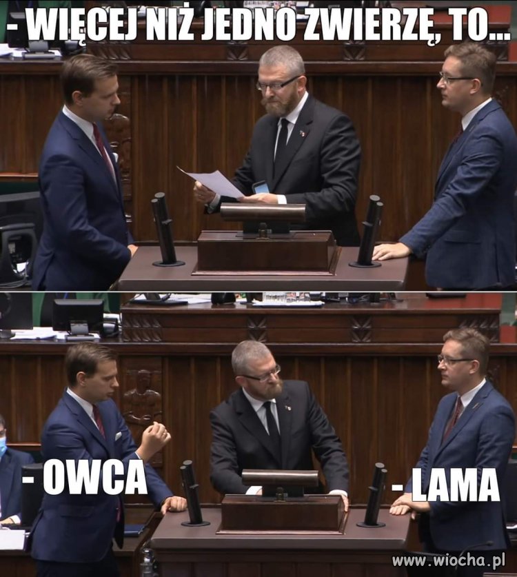 Tymczasem