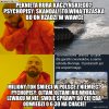 Kryształowa prawda i moralność!
