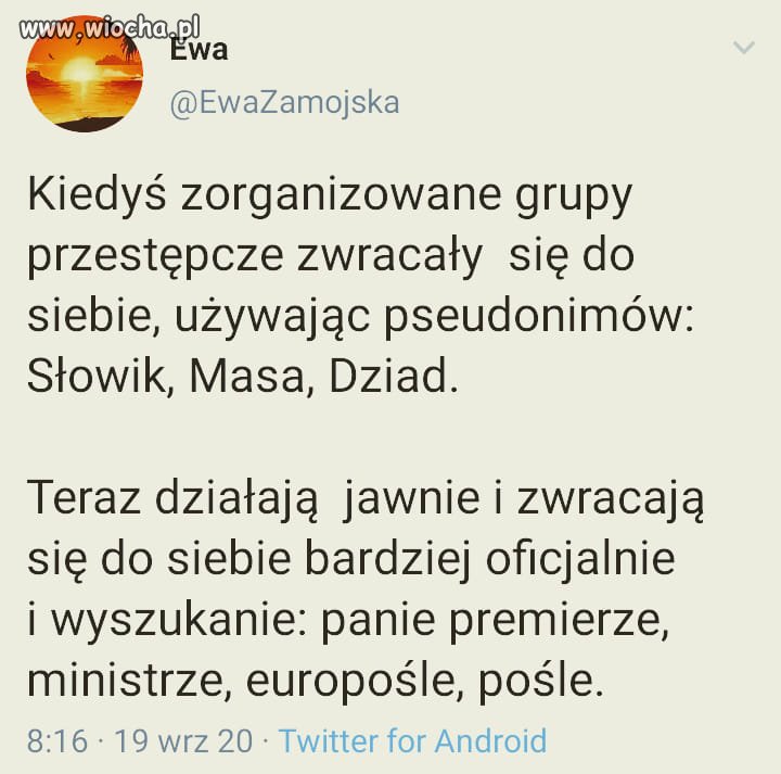 Coś w tym jest