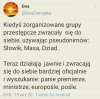 Coś w tym jest