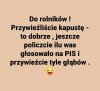 Przywieźcie jeszcze głąby