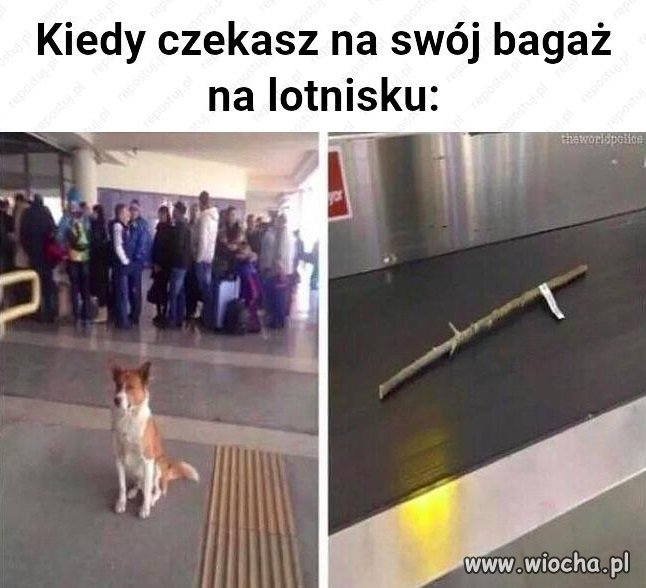 Heheszki