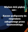 Piękny sen
