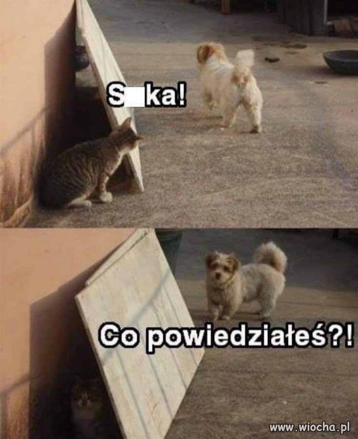 Między nami...