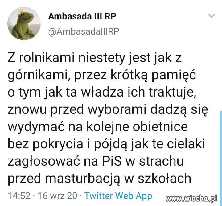Niestety