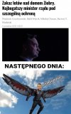 Żebro i Wielonóg