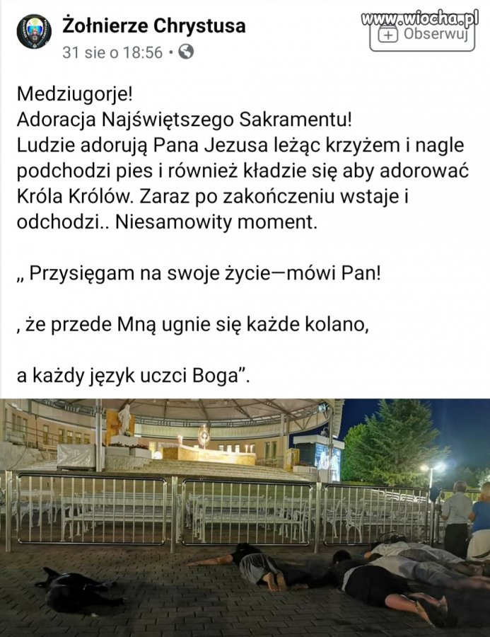 Nie wiem, co oni biorą 