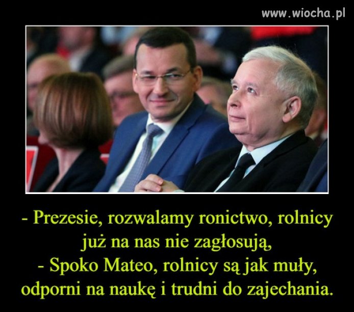 Oj, żeby się prezes nie zdziwił. Jak tylko stracą 