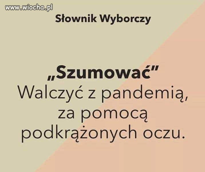 Słownik wyborczy 