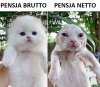 Pensja brutto netto 