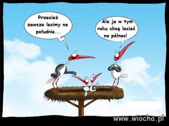 Przecież zawsze lecimy na południe...!
