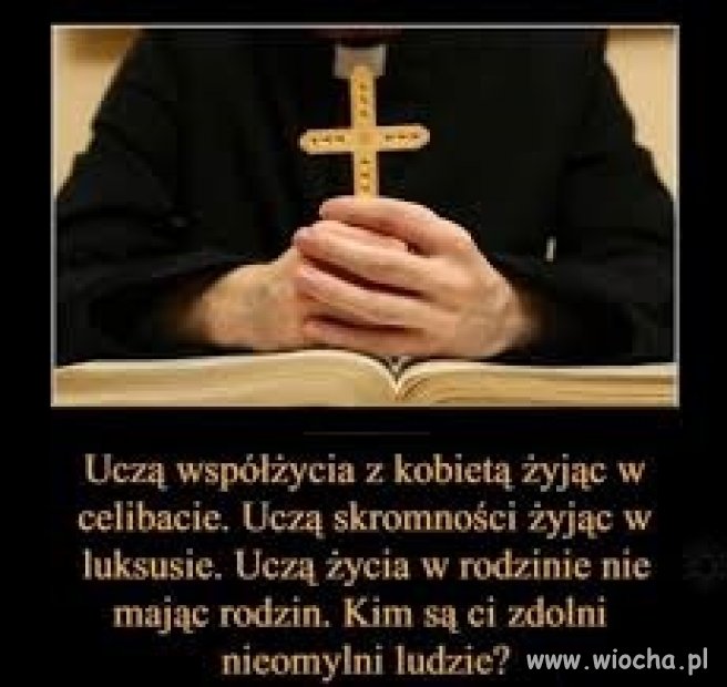 To są profesorowie od wszystkiego 