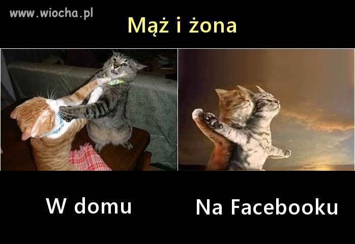 Mąż i żona 