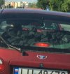W Lublinie nie mają problemów z przewozem węgla