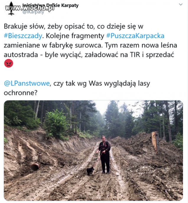 Na wszystkim da się zarobić