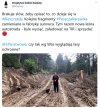Na wszystkim da się zarobić