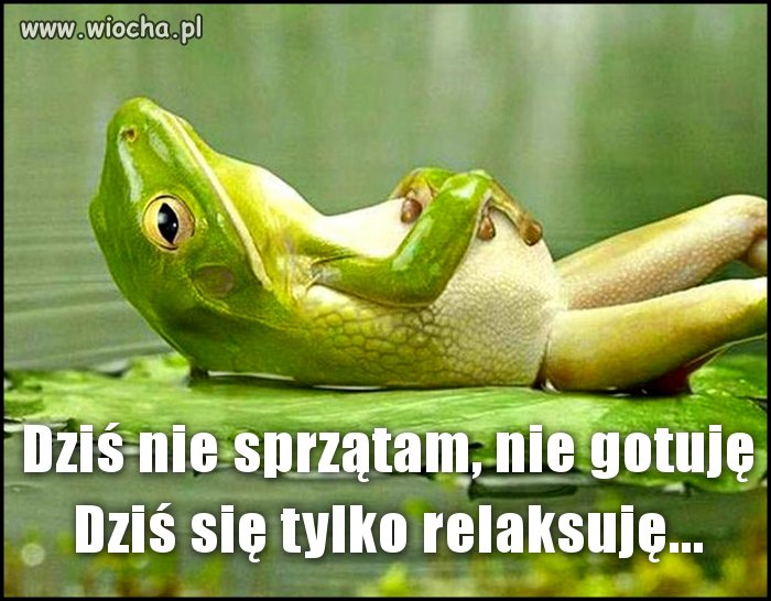 NIEDZIELA !