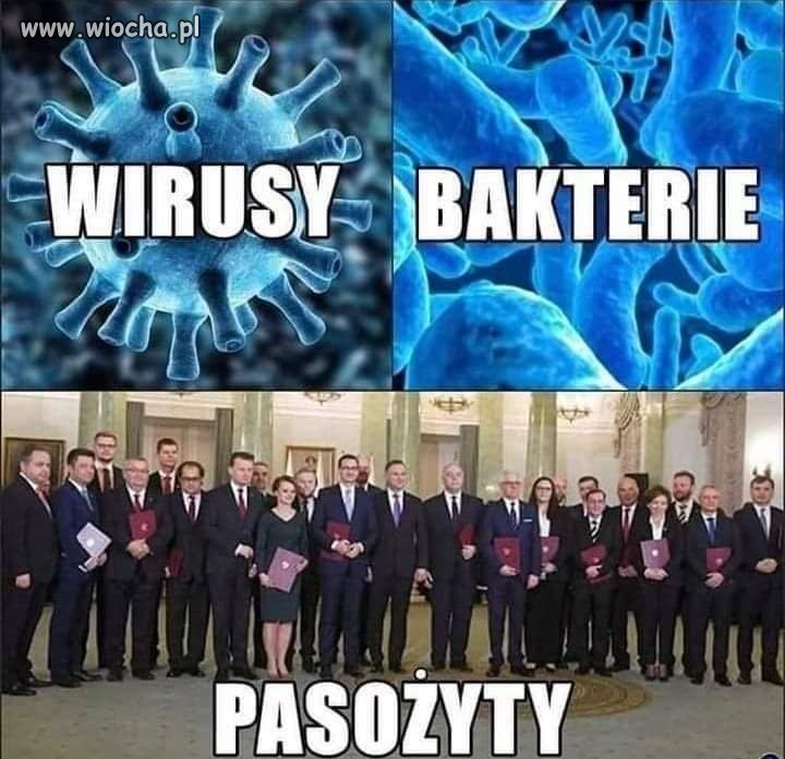 Idealne