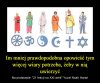 Dokładnie tak.