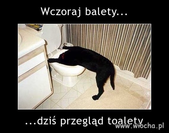 To musiała być zabawa 