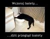 To musiała być zabawa 