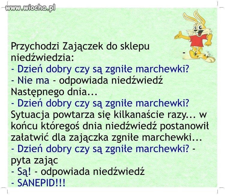 Złośliwy zajączek