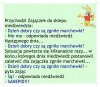 Złośliwy zajączek