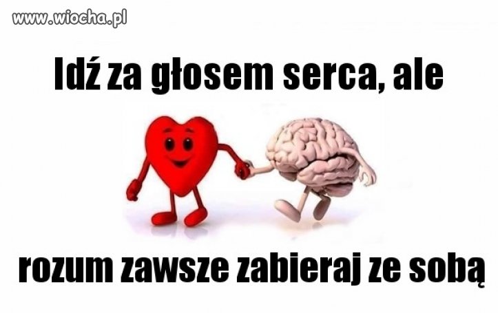 Idź za głosem serca, 