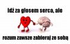 Idź za głosem serca, 