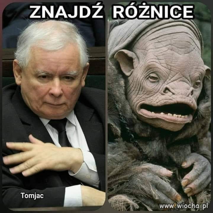 Zadanie