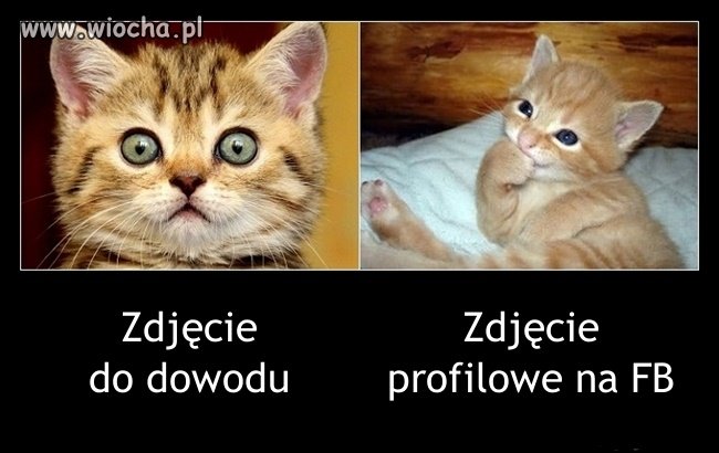 Do dowodu