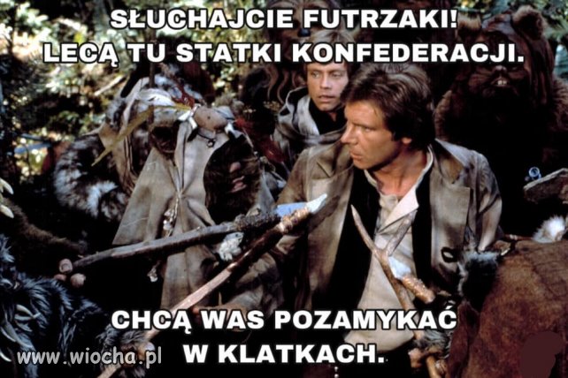 Tytuł zbędny