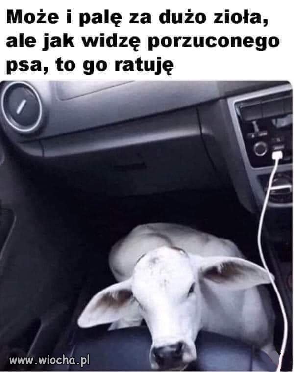 No właśnie...