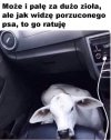 No właśnie...