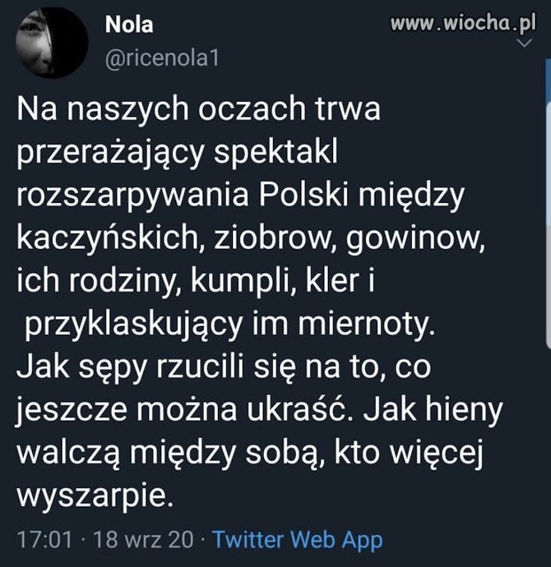 Tytuł zbędny
