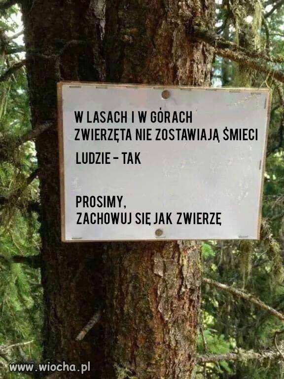 Zachowuj się jak zwierzę.