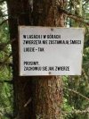 Zachowuj się jak zwierzę.
