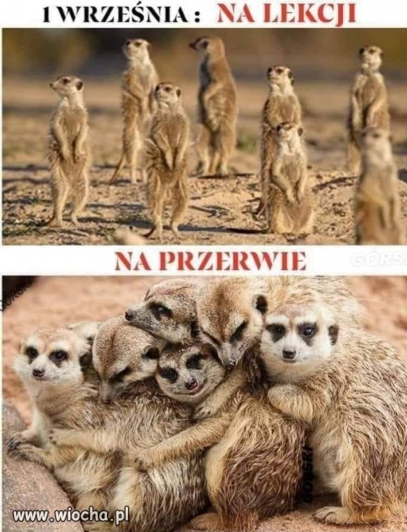Od dzisiaj. 
