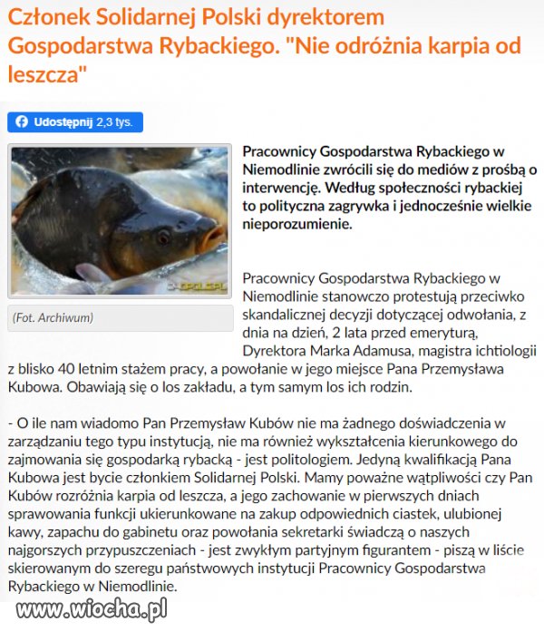 Oto Polska właśnie
