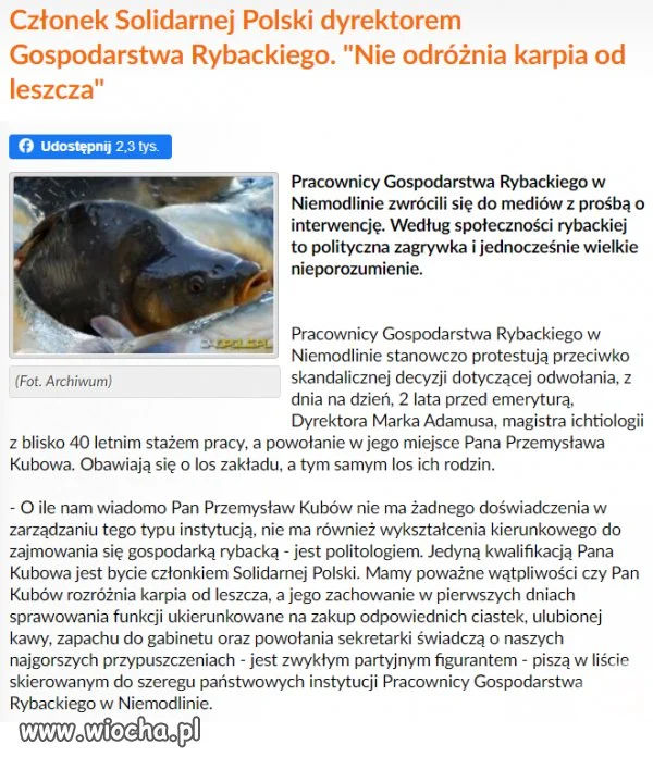Oto Polska właśnie