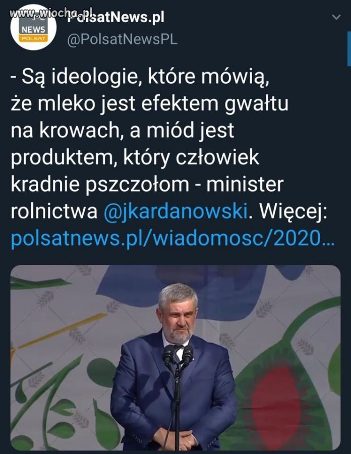 Chyba koń mu w bańkę z kopyta dał