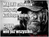 A ilu jest takich w rządzie 