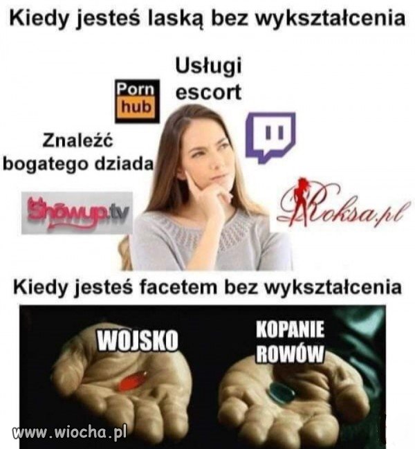 Brak wykształcenia