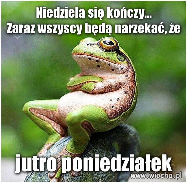 Nie narzekać !