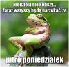 Nie narzekać !