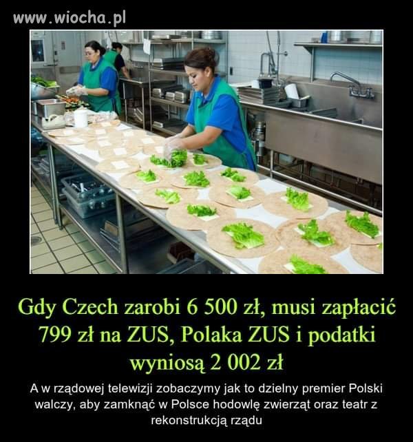 Jak żyć? 