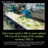 Jak żyć? 