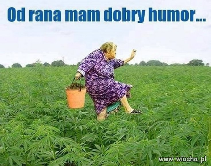 Od rana mam dobry humor 
