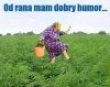 Od rana mam dobry humor 